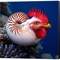 Chicken of the Sea by Pixelmated Animals 12" x 12" Canvas Wall Art